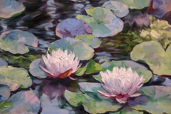 "Waterlily Melody"