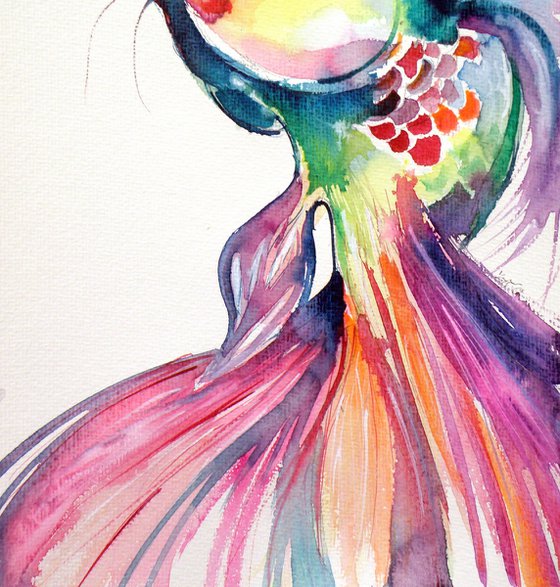 Colorful fish