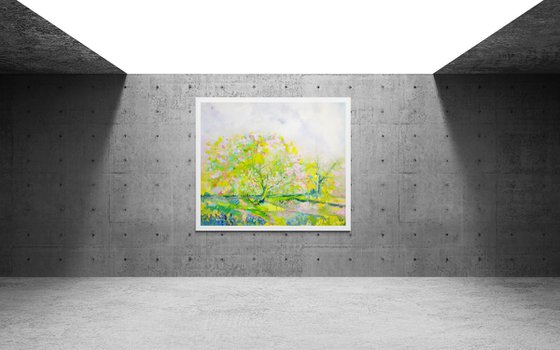 Cherry Blossom Lane 2025