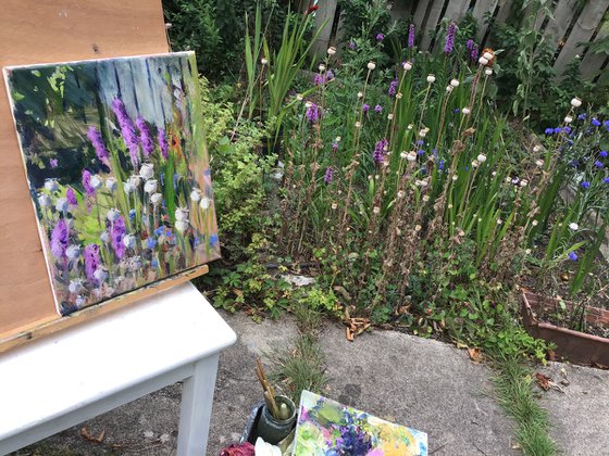 Purple Liatris