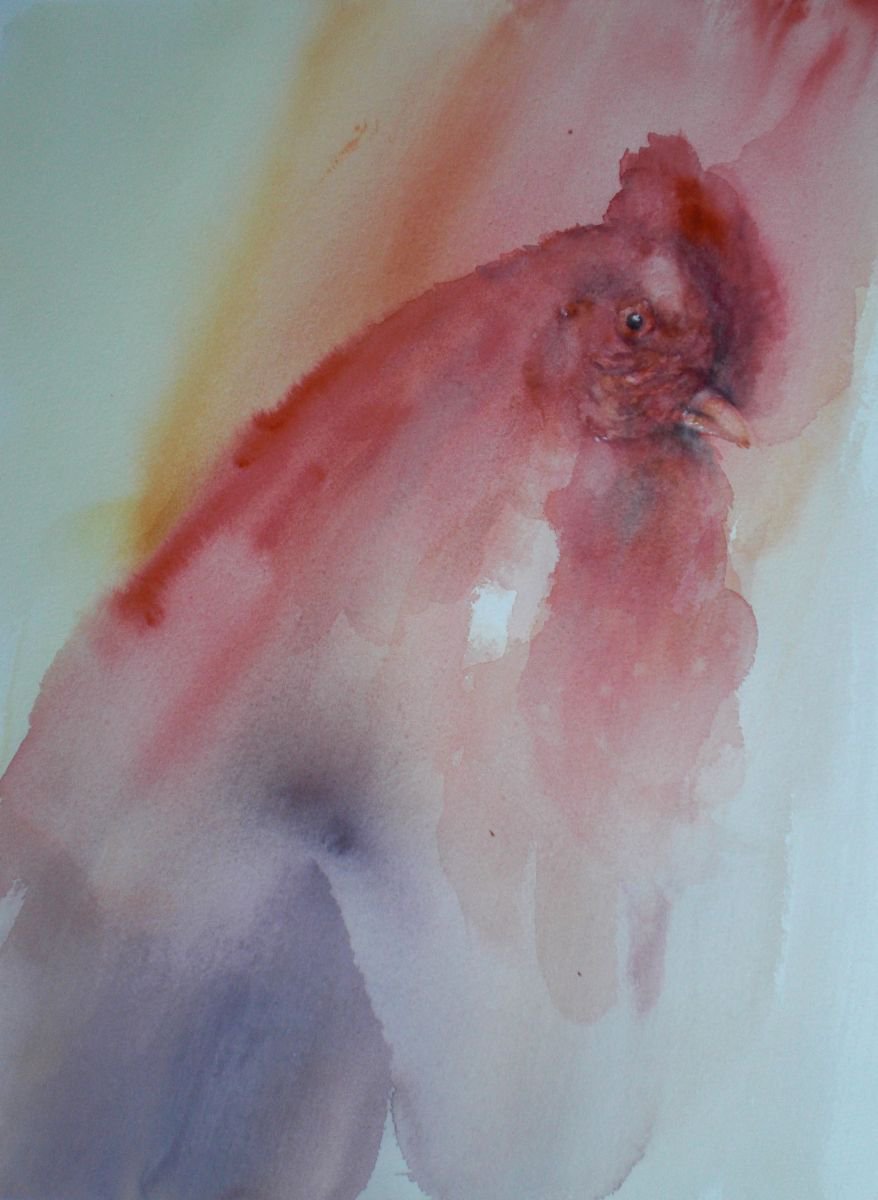 Expressive Animal Watercolour By Giorgio Gosti, 11 X 15, Rooster 3, Original Artwork