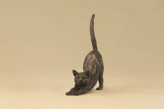 Stretching Cat Bronze