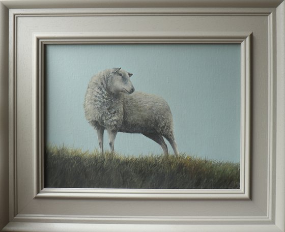 Sheep on a Hill