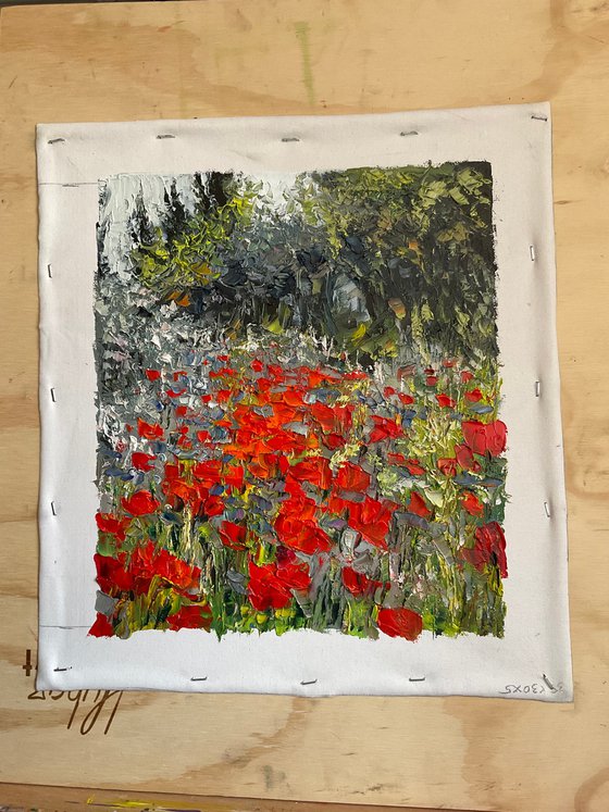 Poppies on grey background