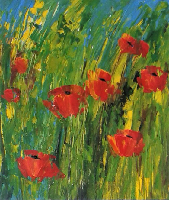 Poppy Field 3