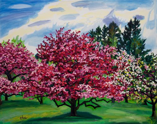 Crabapple Passion by Christina M Plichta