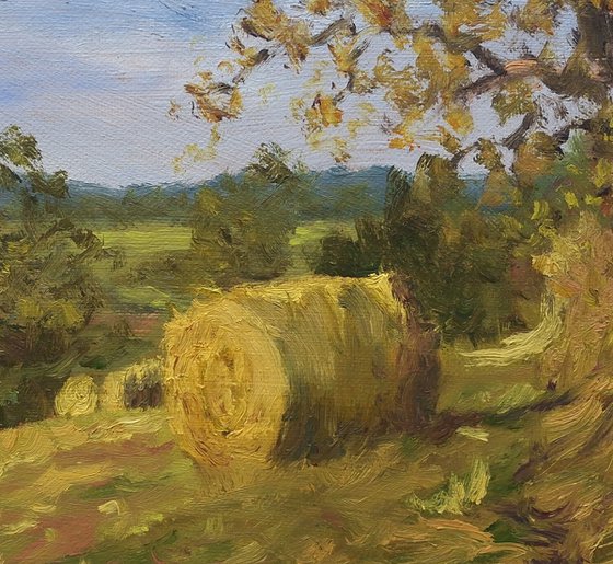 'Haybales' - Plein Air