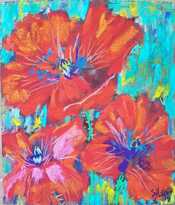 Poppies over turquoise