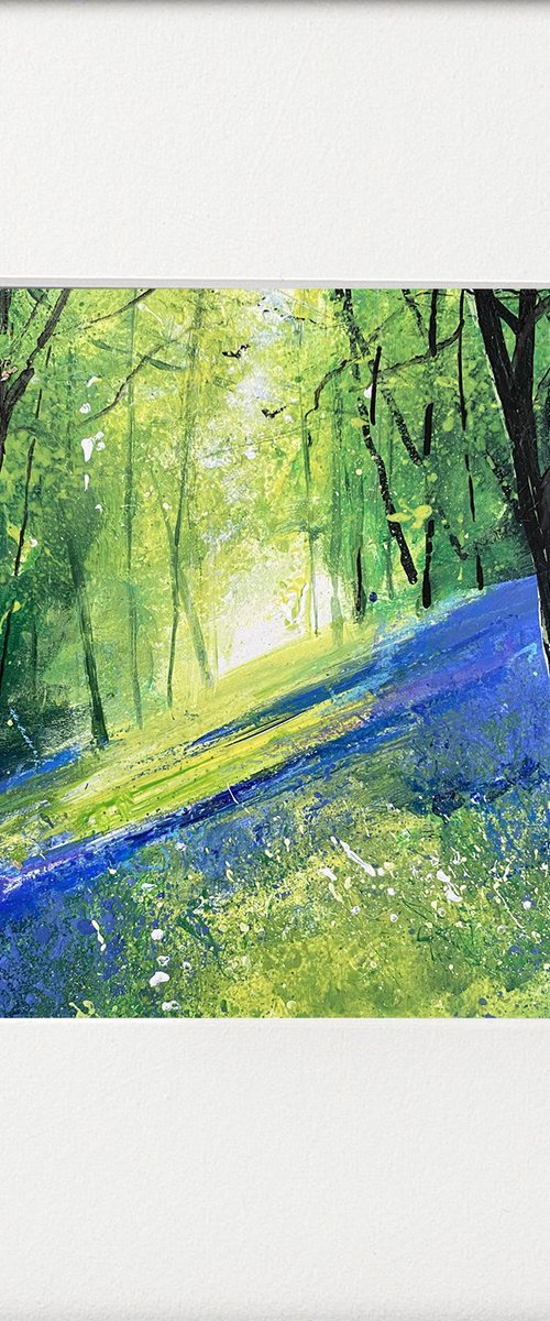 4 bluebell watercolours by Teresa Tanner