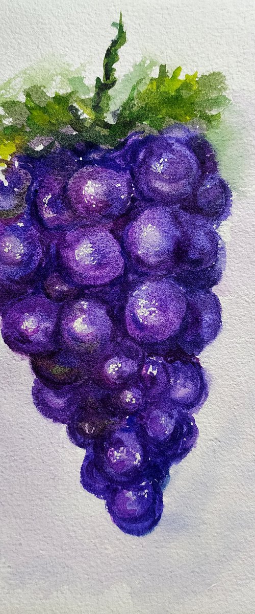 Purple grapes 1 by Asha Shenoy