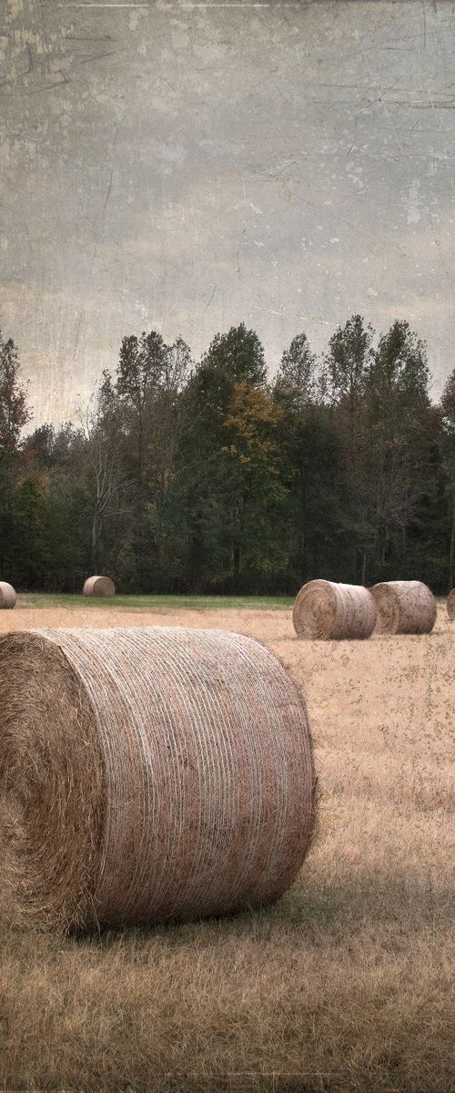 Untitled Hay Bales by Robert Tolchin