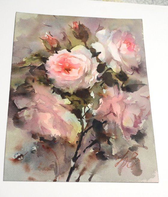 Rose bush in watercolour