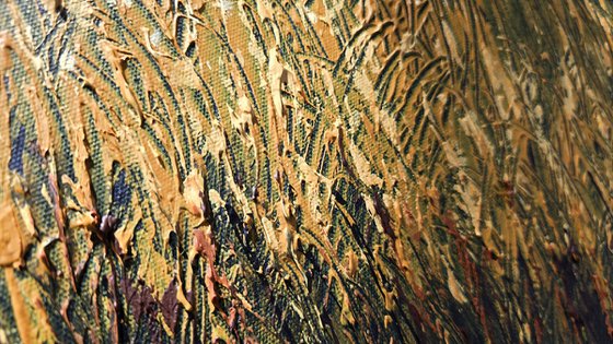 Cornfields and the Barn