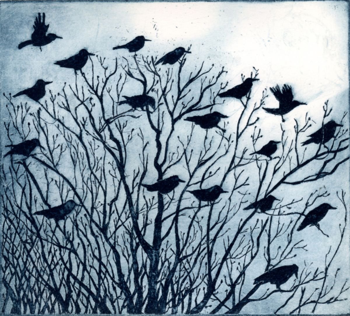 Animal Etchings & Engravings By Janis Goodman, 9 X 8, Birds Watching, Original Artwork