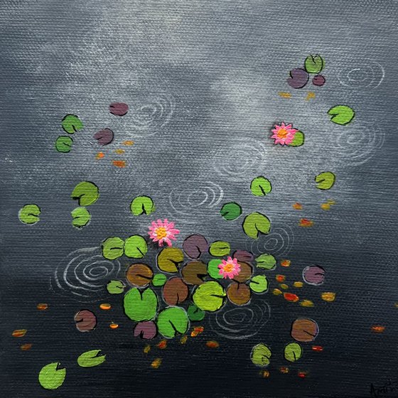 Mini Waterlily ponds