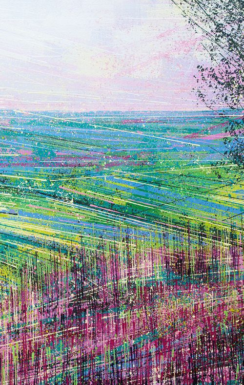 Summer Heather On Exmoor by Marc Todd