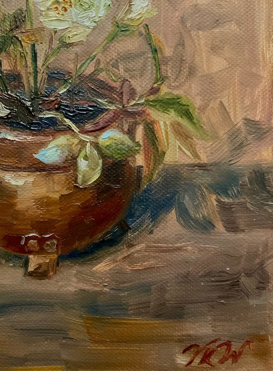 HELLEBORE
