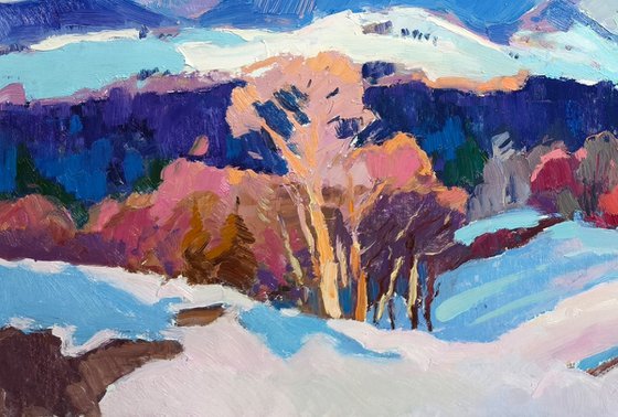 Winter on Verkhovyna