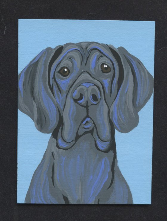 ACEO ATC Original Miniature Painting Black Great Dane Pet Dog Art-Carla Smale