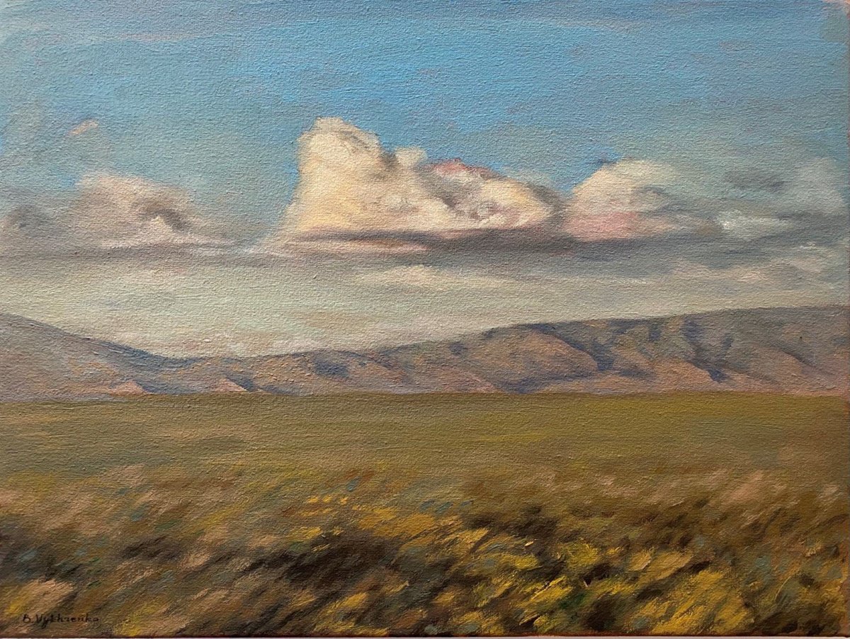 Impressionistic Landscape Oil Painting By Bohdan Vykhrenko, 16 X 12, Great Valley, Original Artwork