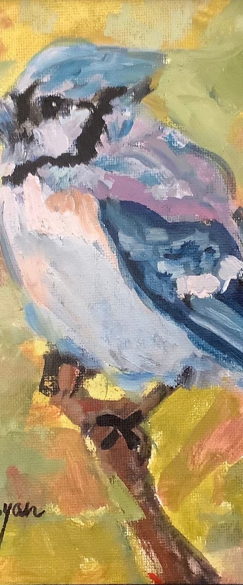 Blue Jay by Lia Matevosyan Haselton