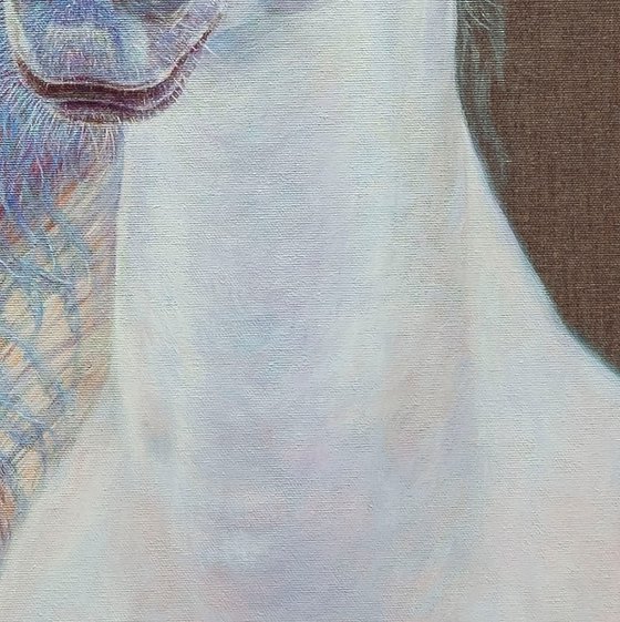 Light Horse and Butterflies.