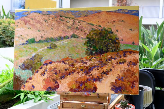 California Foothills. Summer