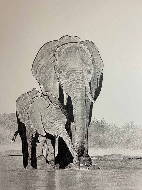 Mum and baby elephant