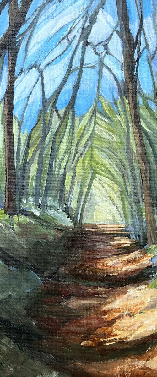 Bluebell Way by Jo Lillywhite