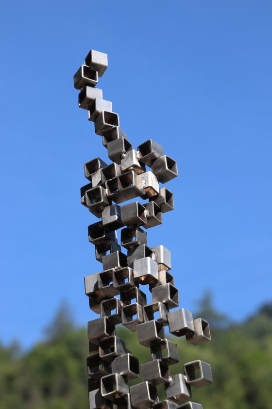 human cubes CARME