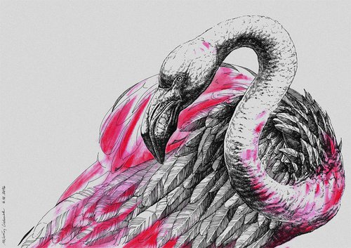 Flamingo v.01 by Mikolaj Cielniak