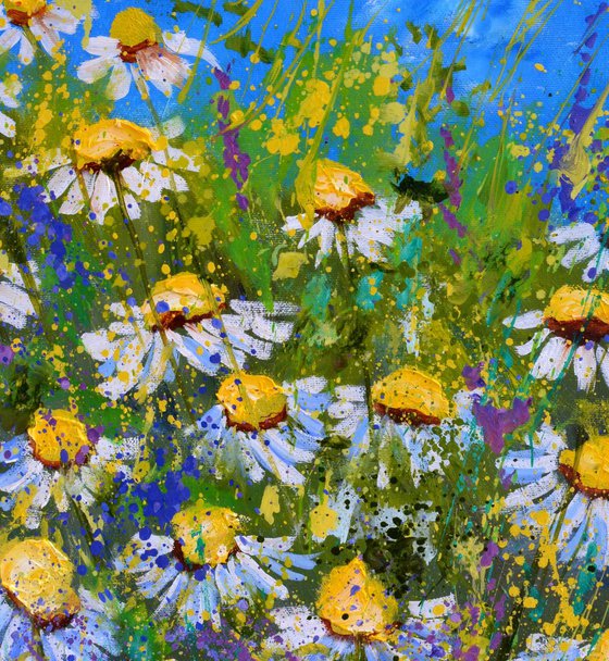Daisies