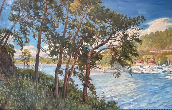 Pines on the island