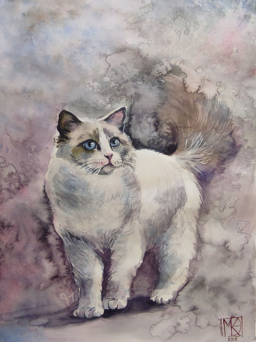 Blue eyes watercolor cat by Maria Kireev