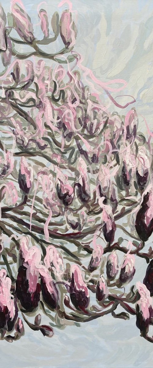 Magnolia by Gabriele Prismantaite
