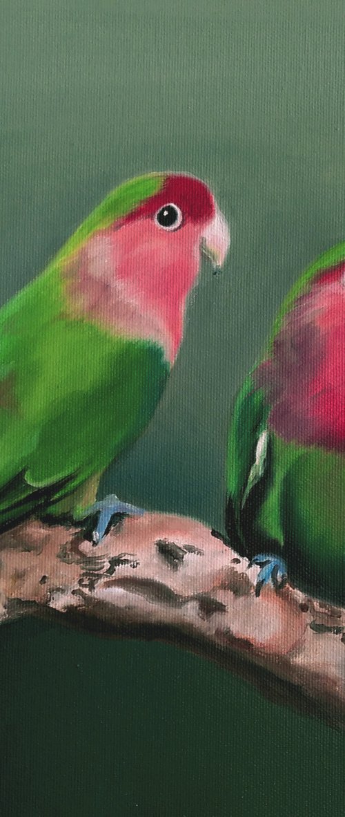 Parrots by Simona Tsvetkova