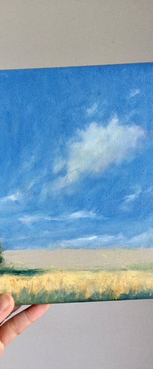 Sky Gazing no.2 by Jessica Davidson