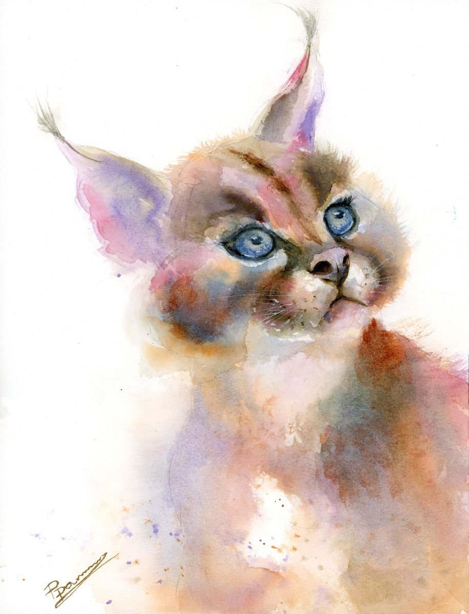 Caracal cat portrait by Olga Shefranov (Tchefranova)