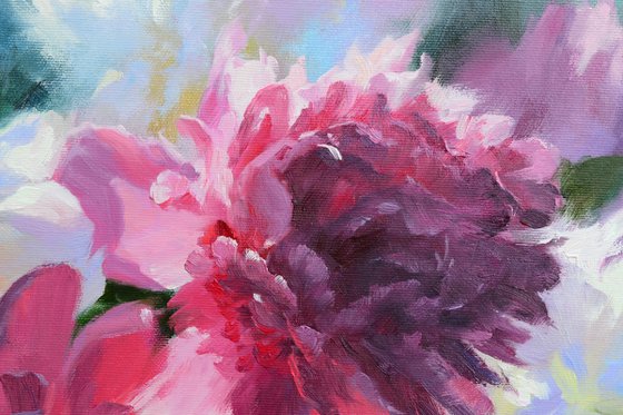 PEONIES ILLUMINATED BY THE SUN