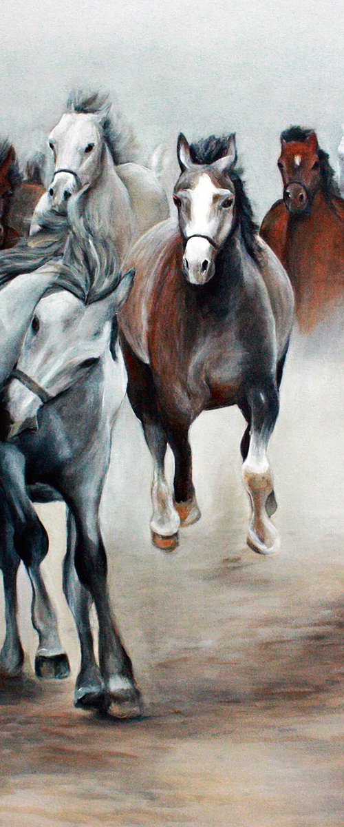 Arabian Horses by Jennie Smallenbroek