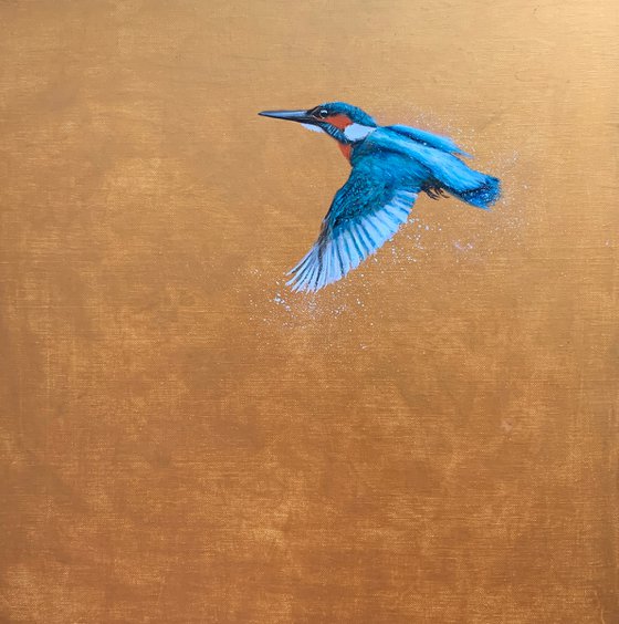 Flight Of The Kingfisher II