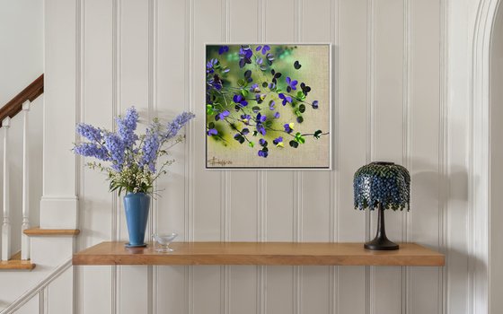 Violet Bloom