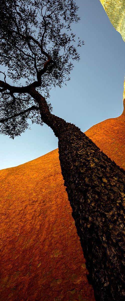 Uluru Jarrah by Nick Psomiadis