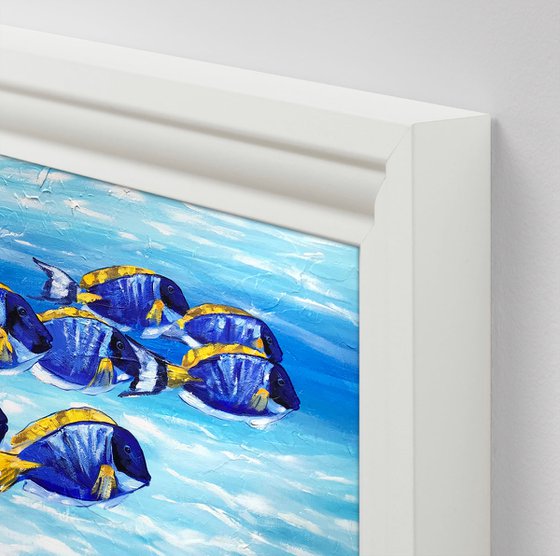 Blue Tang Fish School