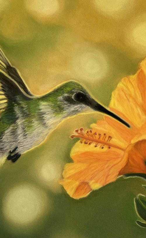 Hummingbird in Flight by Anne Shaughnessy