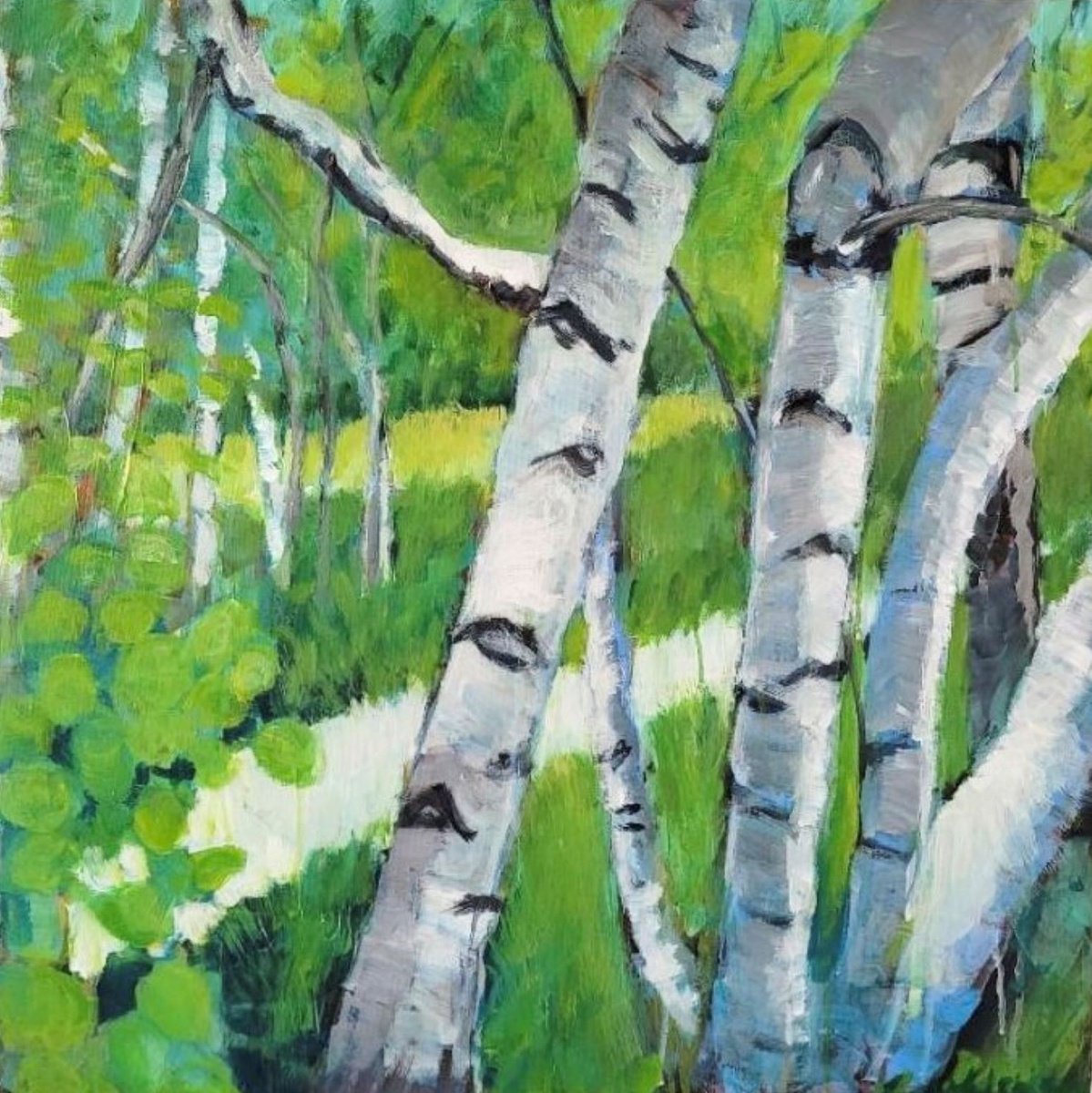 Birch Grove by Leah Kohlenberg