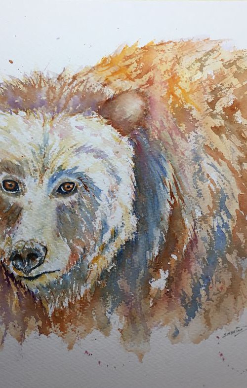 Grizzly portrait by Sabrina’s Art