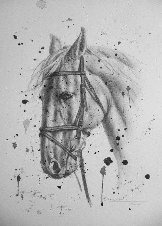 Animal drawing  pencil  horse  #1741