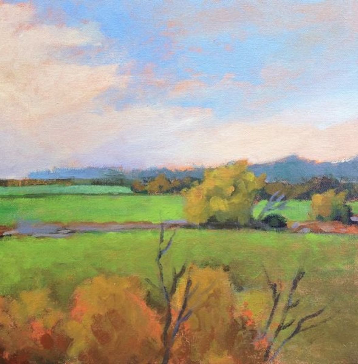 Our beautiful Iowa Acrylic painting by Sri Rao Artfinder