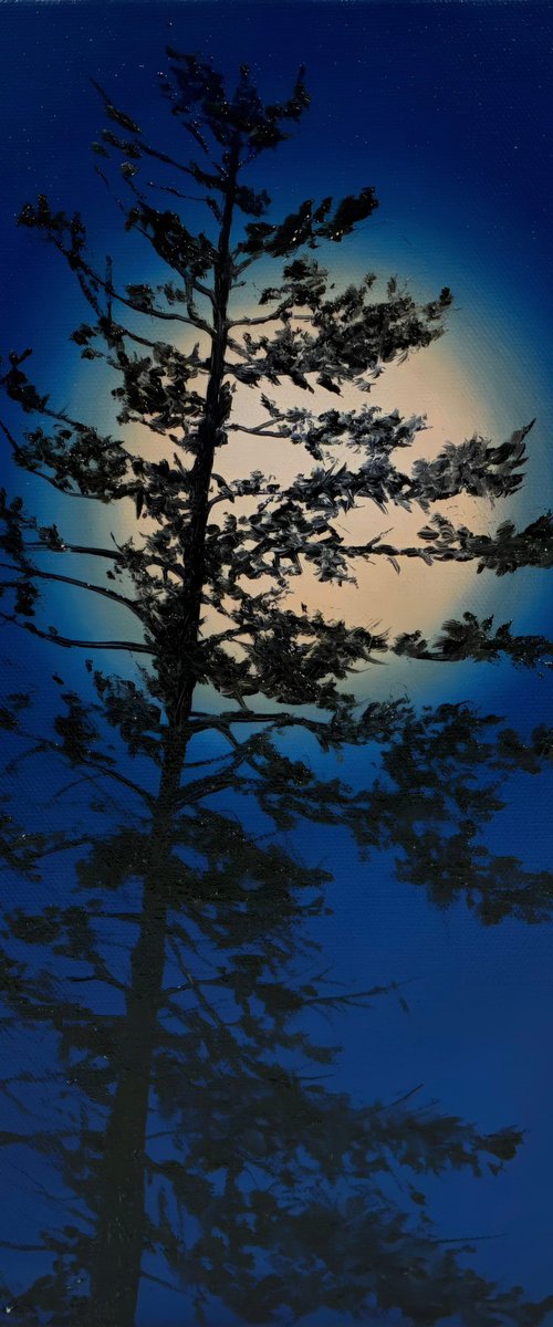 Nocturnal Pines by Alla Kallas